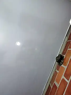 Perropa online show from February 27, 2026, 1:17 am