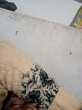 Snapshot of Payal950 chatting on December 3, 2025, 3:44 pm Payal950 online show from December 3, 2025, 3:44 pm