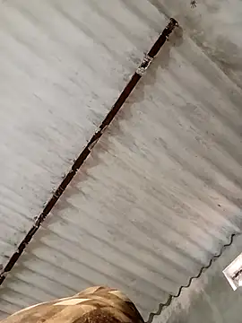 Snapshot of Payal950 chatting on November 7, 2025, 11:15 am Payal950 online show from November 7, 2025, 11:15 am