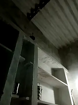 Snapshot of Payal950 chatting on November 8, 2025, 12:42 pm Payal950 online show from November 8, 2025, 12:42 pm