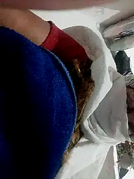 Snapshot of Payal950 chatting on November 1, 2025, 9:08 pm Payal950 online show from November 1, 2025, 9:08 pm