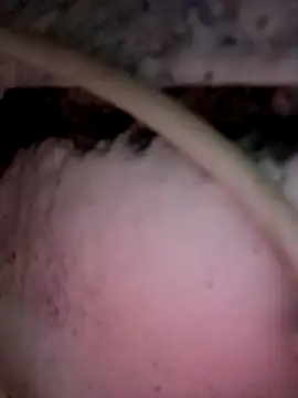 Snapshot of Payal950 chatting on December 3, 2025, 12:01 am Payal950 online show from December 3, 2025, 12:01 am