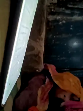 Snapshot of Payal950 chatting on November 16, 2025, 1:43 am Payal950 online show from November 16, 2025, 1:43 am