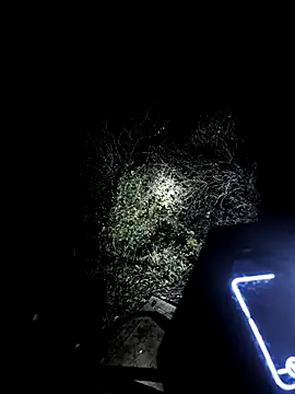 MODEST11 MMiILOO AMARO online show from November 18, 2025, 5:33 am