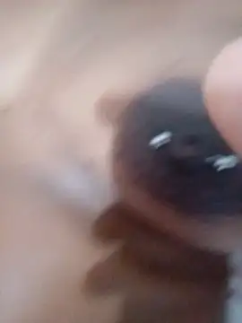 Snapshot of nessinha12 chatting on November 10, 2025, 10:53 am nessinha12 online show from November 10, 2025, 10:53 am