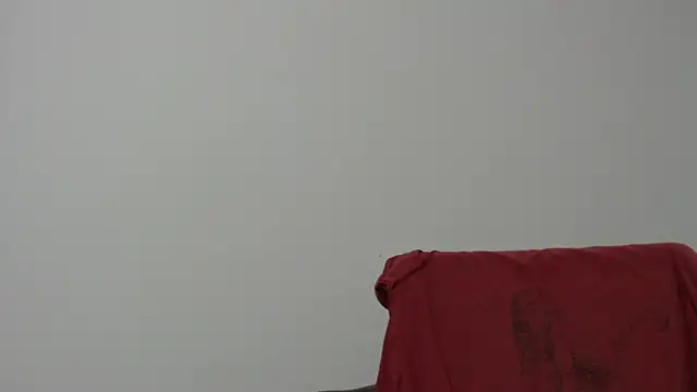 Rocky Muscle online show from February 5, 2026, 4:52 am