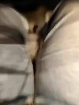 TaraWild online show from September 16, 2025, 4:30 pm