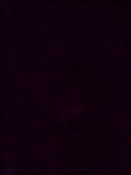 SkeletalDegree21 online show from October 5, 2025, 3:03 pm