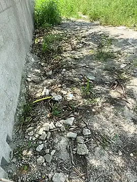 magraocam online show from February 19, 2026, 2:58 pm