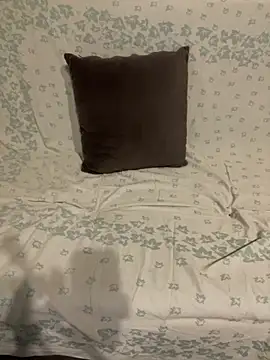 elsale009 online show from November 20, 2025, 11:11 am