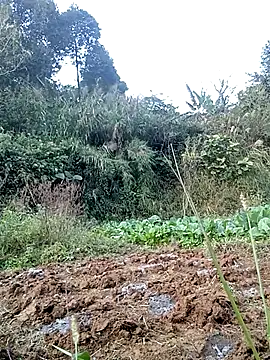 hera-00 online show from November 24, 2025, 8:58 am