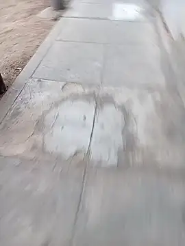 Bebicho14 online show from February 12, 2026, 11:10 am