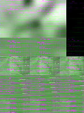 mohan 092 online show from December 13, 2025, 8:04 pm