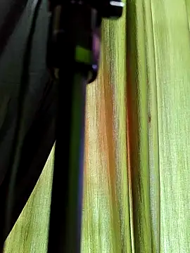 Snapshot of chocolate_alone chatting on November 10, 2025, 6:51 am chocolate alone online show from November 10, 2025, 6:51 am