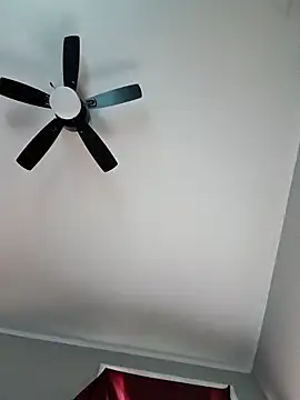 Dropdingo online show from October 21, 2025, 5:23 pm