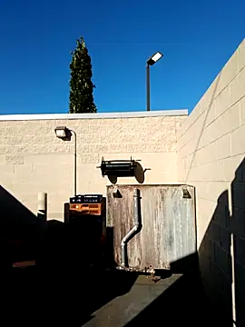 Dropdingo online show from October 19, 2025, 2:09 pm