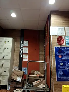 Dropdingo online show from October 31, 2025, 4:03 pm