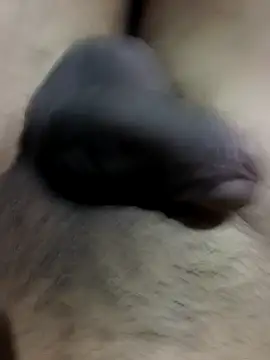 MH 12 11 online show from September 22, 2025, 4:35 pm