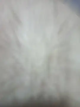 Snapshot of Jobson40 chatting on February 1, 2026, 5:49 am Jobson40 online show from February 1, 2026, 5:49 am