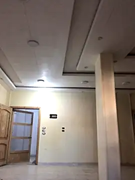 FlungBergenia online show from December 18, 2025, 12:42 pm