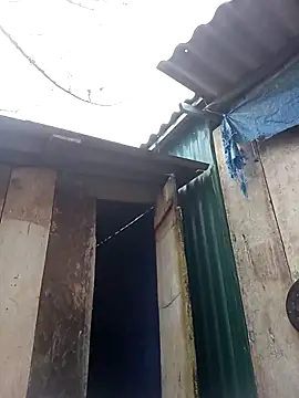 may-squirl online show from November 11, 2025, 11:42 pm