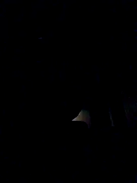 Snapshot of leehank01 chatting on November 3, 2025, 3:26 pm leehank01 online show from November 3, 2025, 3:26 pm