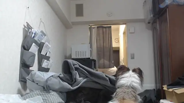 Snapshot of raterate555 chatting on March 5, 2026, 1:19 pm raterate555 online show from March 5, 2026, 1:19 pm