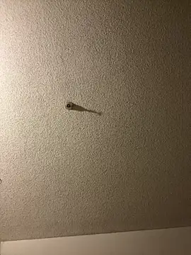 Snapshot of aurorasparkles chatting on September 24, 2025, 2:45 pm aurorasparkles online show from September 24, 2025, 2:45 pm