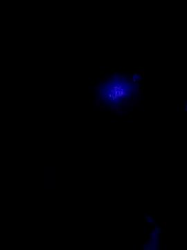 johnboones10 online show from October 22, 2025, 9:42 am