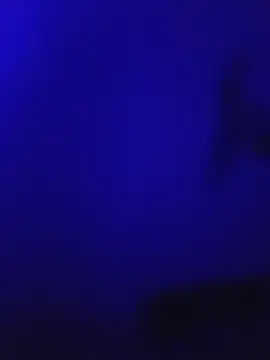 Snapshot of ctocum35 chatting on November 9, 2025, 10:47 pm ctocum35 online show from November 9, 2025, 10:47 pm