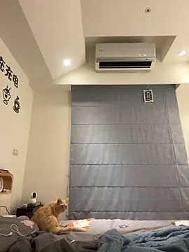 tw feibaby online show from September 12, 2025, 2:39 pm