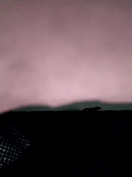 Snapshot of dogi909020 chatting on September 17, 2025, 7:27 pm dogi909020 online show from September 17, 2025, 7:27 pm