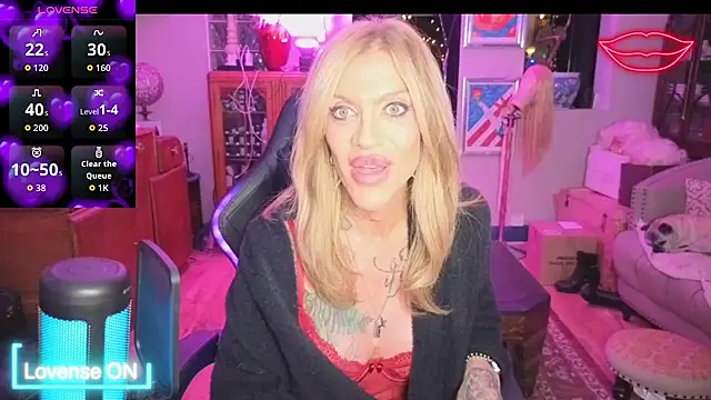 xl uk top trans online show from April 21, 2026, 10:05 pm