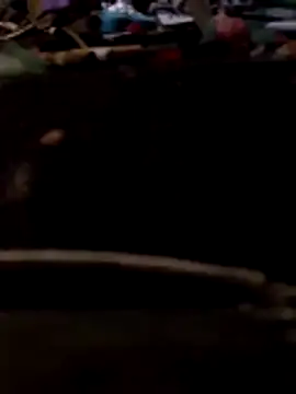 Snapshot of Bianomc1974 chatting on November 8, 2025, 7:28 pm Bianomc1974 online show from November 8, 2025, 7:28 pm