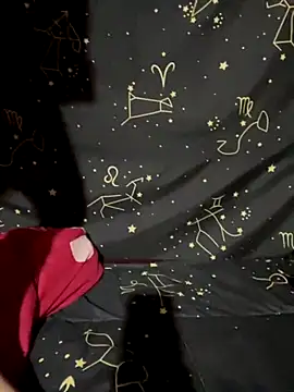 Snapshot of swallow-nice chatting on October 6, 2025, 2:13 am swallow-nice online show from October 6, 2025, 2:13 am