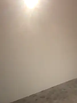 PayForThePaddy online show from November 5, 2025, 11:30 pm