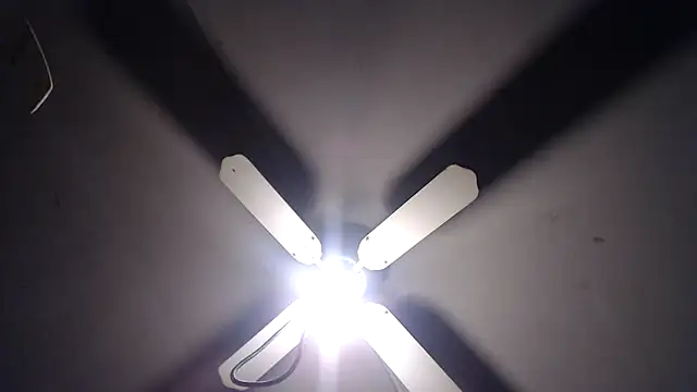 BiglovelyXXL online show from November 23, 2025, 4:33 am