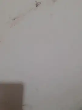 Sexy Mal89 online show from December 16, 2025, 5:28 pm