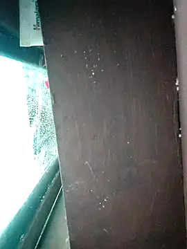 Snapshot of WildPayal chatting on November 14, 2025, 7:56 am WildPayal online show from November 14, 2025, 7:56 am