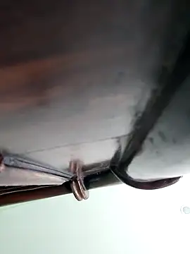 Snapshot of WildPayal chatting on November 16, 2025, 8:19 am WildPayal online show from November 16, 2025, 8:19 am