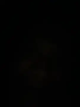 Nico Jonson online show from March 30, 2026, 6:04 am