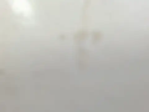 Snapshot of Penelopee_Rouse chatting on October 20, 2025, 7:25 pm Penelopee Rouse online show from October 20, 2025, 7:25 pm