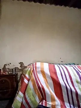 Snapshot of average_price chatting on November 12, 2025, 4:16 am average price online show from November 12, 2025, 4:16 am