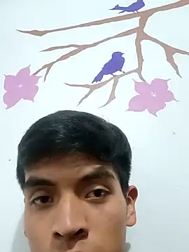 Snapshot of DavidVergagigante420 chatting on September 9, 2025, 12:21 am DavidVergagigante420 online show from September 9, 2025, 12:21 am