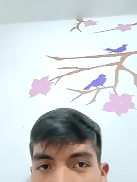 Snapshot of DavidVergagigante420 chatting on November 6, 2025, 4:11 pm DavidVergagigante420 online show from November 6, 2025, 4:11 pm