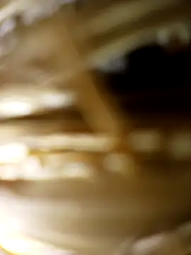 Snapshot of panchosativo chatting on October 31, 2025, 2:52 am panchosativo online show from October 31, 2025, 2:52 am