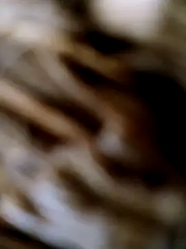 Snapshot of panchosativo chatting on October 25, 2025, 1:56 pm panchosativo online show from October 25, 2025, 1:56 pm