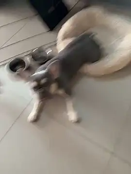 KstnSrg19 online show from November 30, 2025, 8:37 am