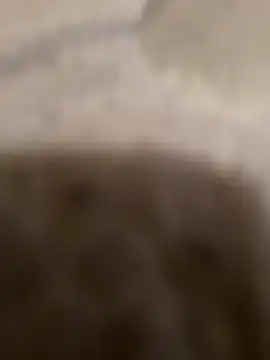 Sexdemonfrfr online show from October 16, 2025, 6:10 am