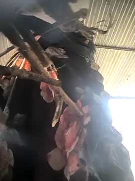 Hot-dasi52 online show from January 18, 2026, 3:32 am